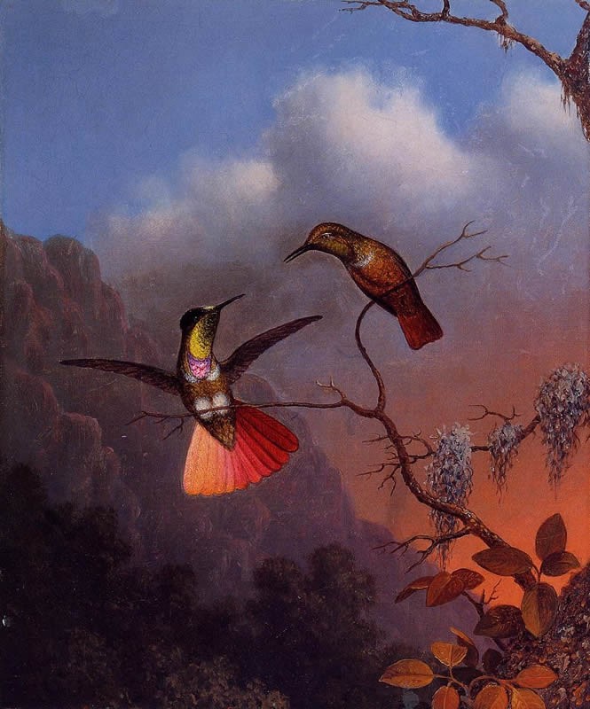 Martin Johnson Heade Hooded Visorbearer